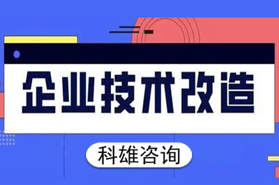 東莞高新技術(shù)企業(yè)技術(shù)咨詢服務(wù)市場價值與費用解析