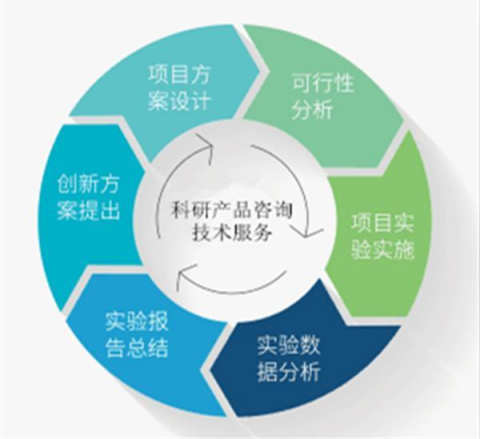 國產(chǎn)大鼠血小板因子4 ELISA檢測試劑盒技術(shù)指南 從實(shí)驗(yàn)設(shè)計(jì)到數(shù)據(jù)分析